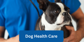 dog health care. emzillatech