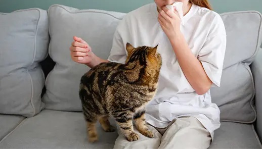 9 Ways to Reduce Cat Allergens in Your Home