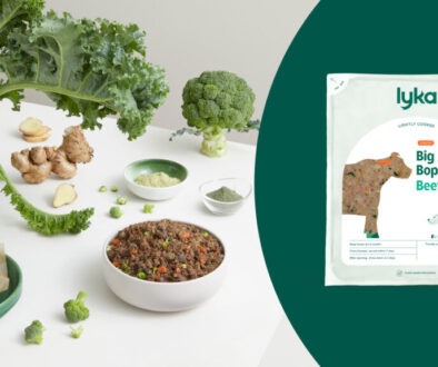 Lyka Dog Food Review: Australia’s Fresh Pet Food