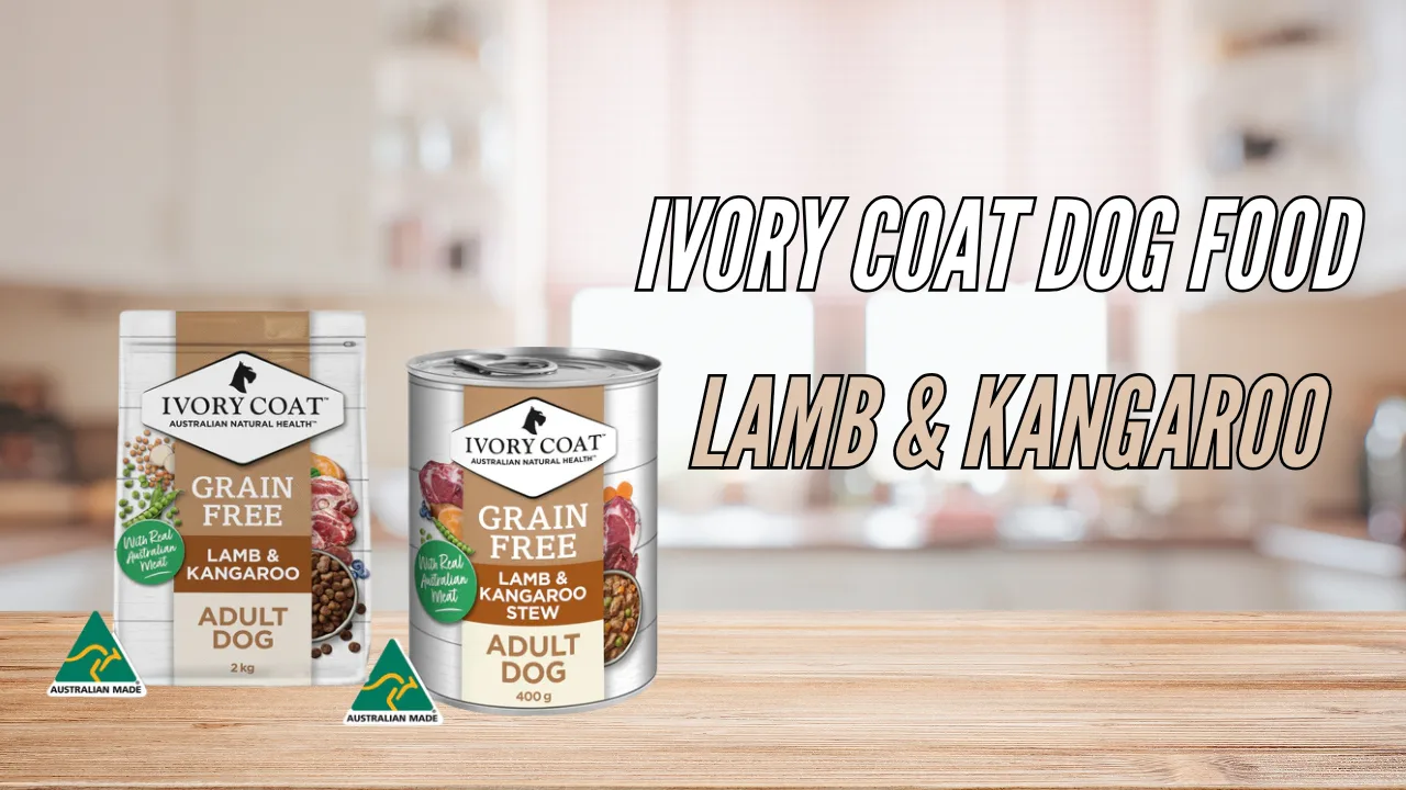 vory coat dog food Grain-Free Adult Lamb & Kangaroo formula