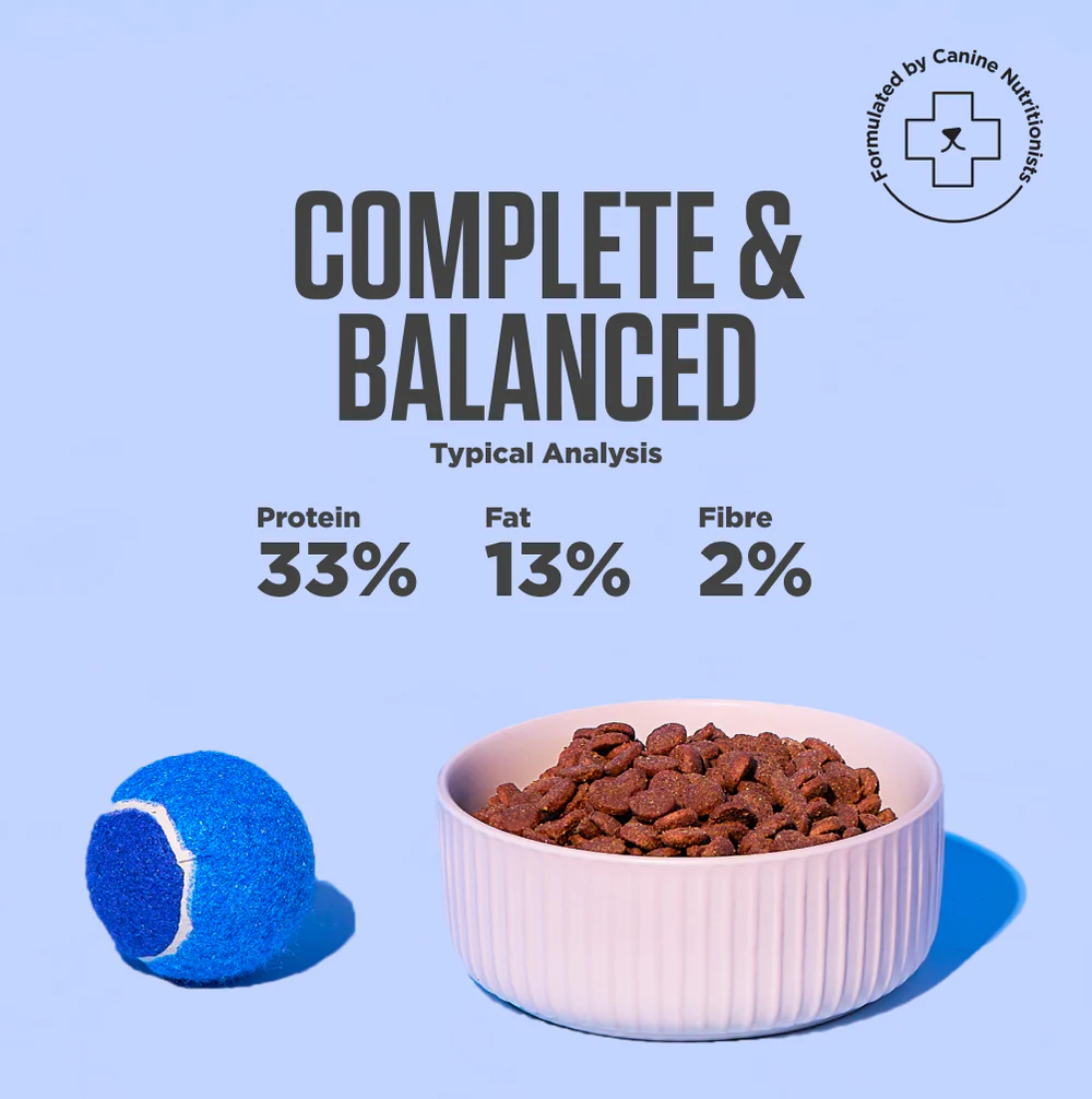 petzyo dog food review Lamb & Ancient Grains