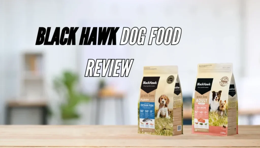 Black Hawk Dog Food Review: Is It Good of Your Dog?