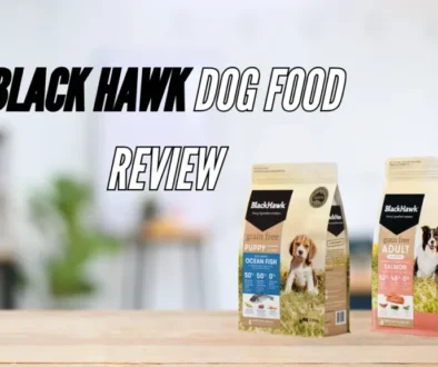 Black Hawk Dog Food Review: Is It Good of Your Dog?