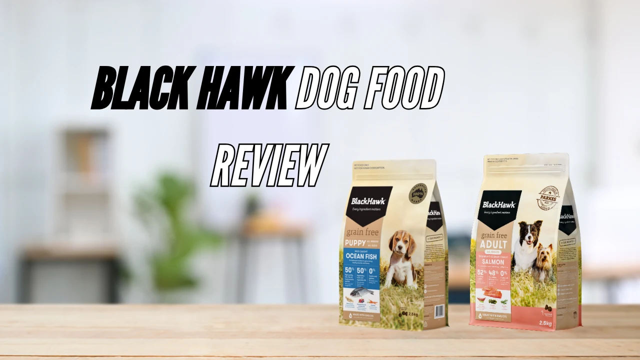 Black Hawk Dog Food Review: Is It Good of Your Dog? Black Hawk Dog Food Review: Is It Good of Your Dog?