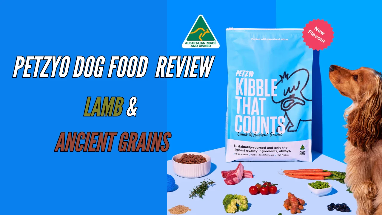 petzyo dog food review Lamb & Ancient Grains petzyo dog food review Lamb & Ancient Grains