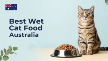 Best Wet Cat Food Australia: A Complete Guide